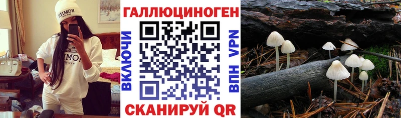 Псилоцибиновые грибы GOLDEN TEACHER  Купить где  Борзя 